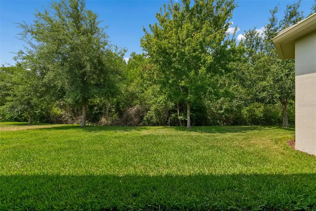 2213 Hollow Forest Court Wesley Chapel FL 33543