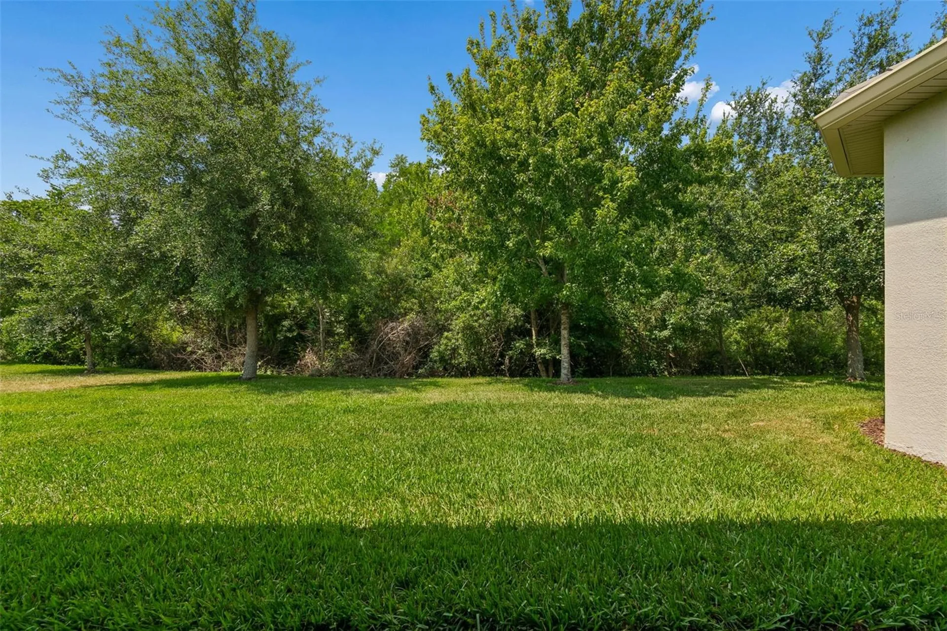 2213 Hollow Forest Court Wesley Chapel FL 33543