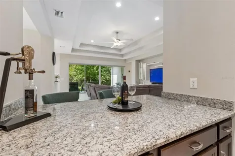 2213 Hollow Forest Court Wesley Chapel FL 33543