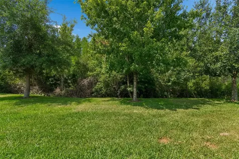 2213 Hollow Forest Court Wesley Chapel FL 33543