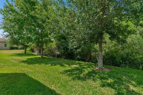 2213 Hollow Forest Court Wesley Chapel FL 33543