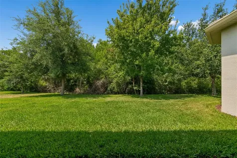 2213 Hollow Forest Court Wesley Chapel FL 33543