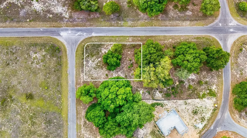 Guava Terrace Ocklawaha FL 32179