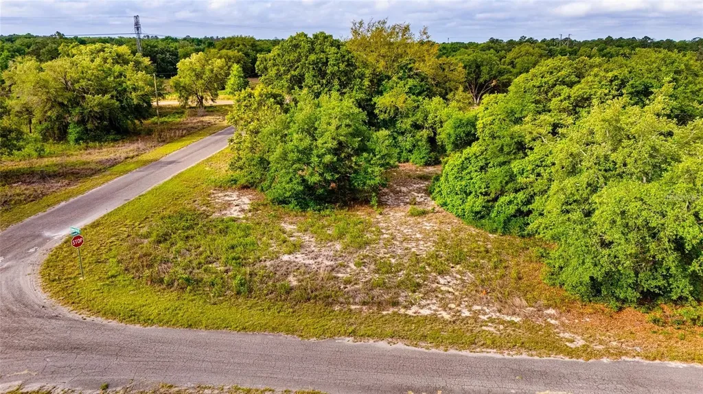 Guava Terrace Ocklawaha FL 32179