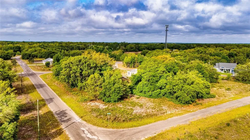 Guava Terrace Ocklawaha FL 32179