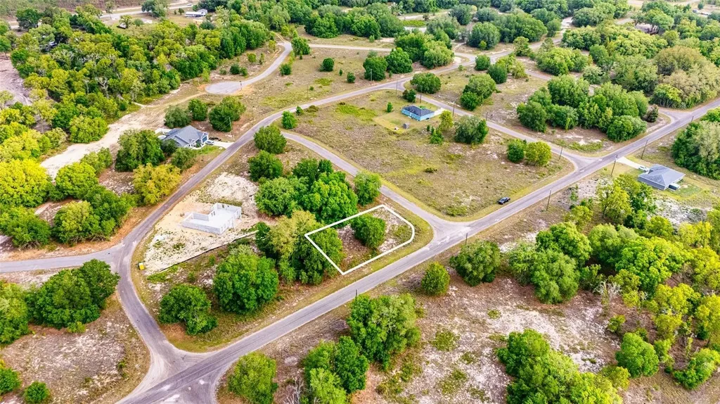 Guava Terrace Ocklawaha FL 32179
