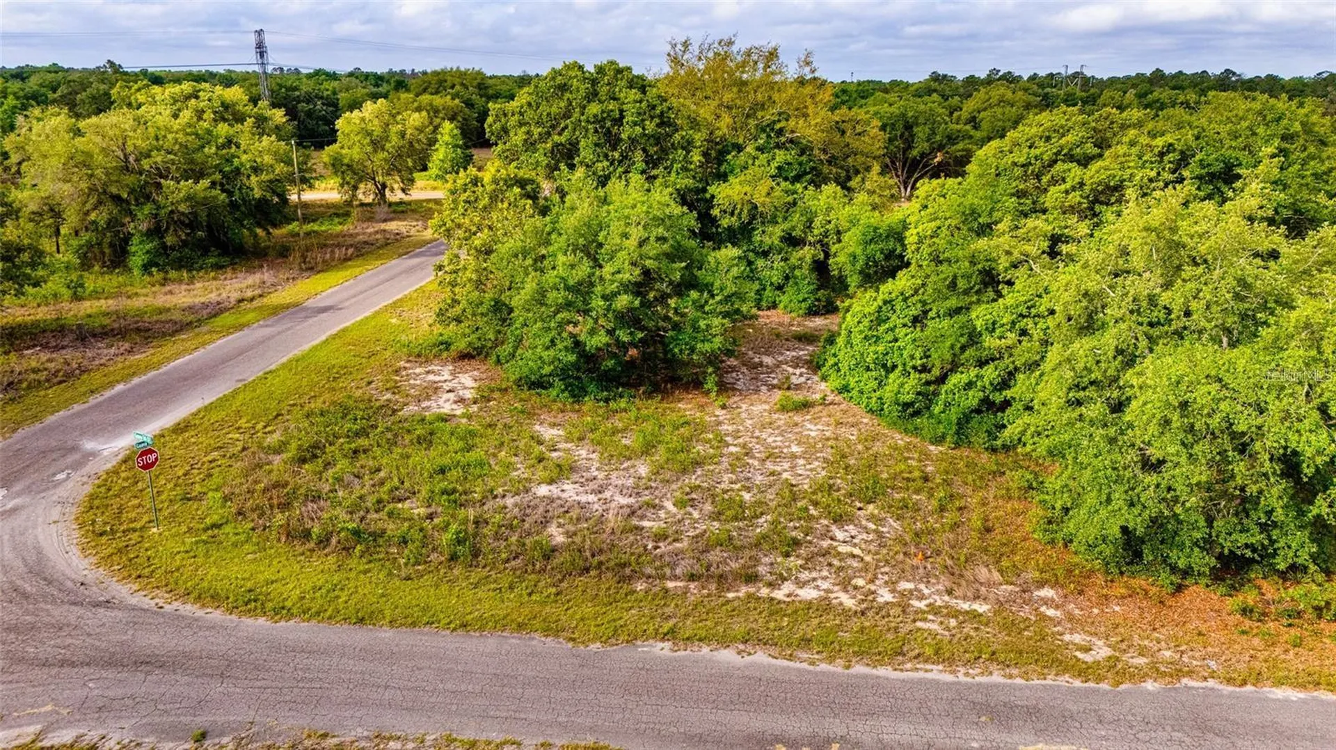 Guava Terrace Ocklawaha FL 32179