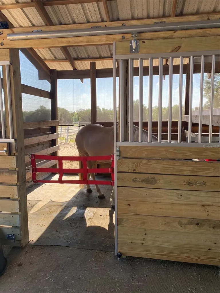 16131 Johns Lake Road Clermont FL 34711
