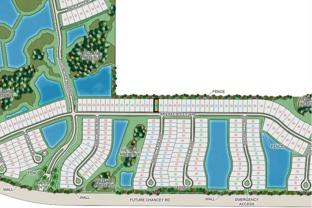 30117 Imperati Boulevard Wesley Chapel FL 33543