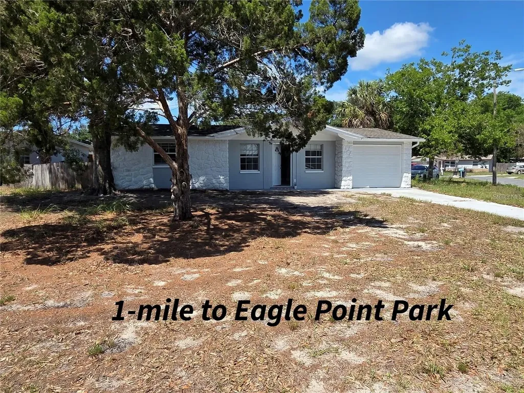 4616 Irene Loop New Port Richey FL 34652