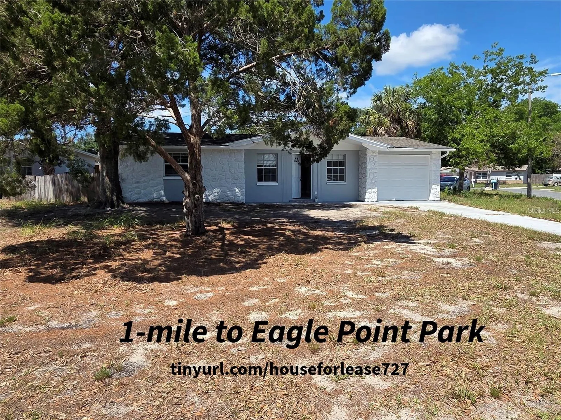 4616 Irene Loop New Port Richey FL 34652