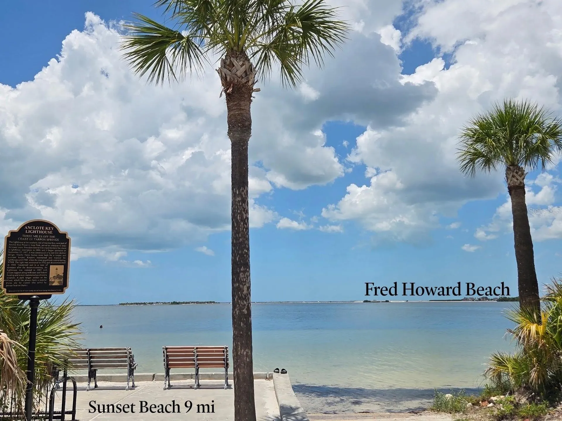 4616 Irene Loop New Port Richey FL 34652