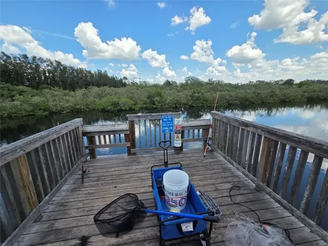 4616 Irene Loop New Port Richey FL 34652