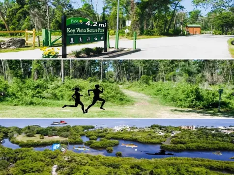 4616 Irene Loop New Port Richey FL 34652