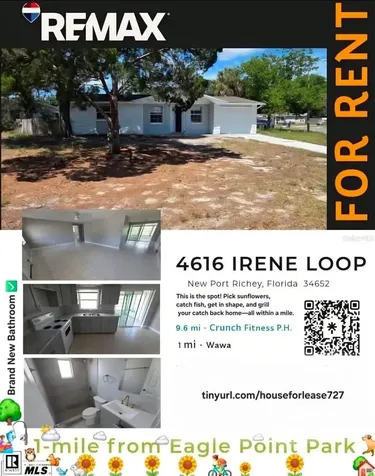 4616 Irene Loop New Port Richey FL 34652