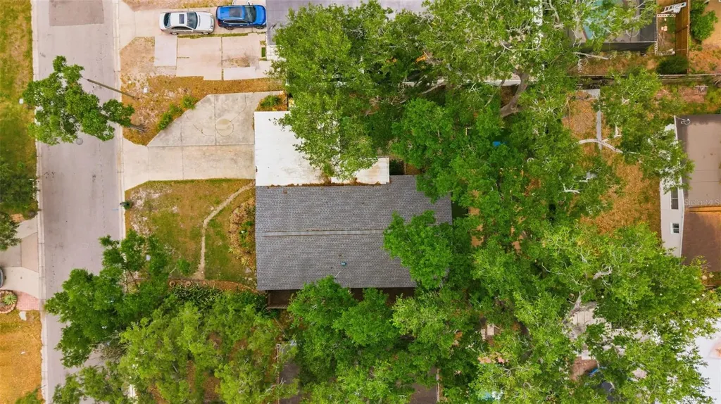 8018 N Ola Avenue Tampa FL 33604
