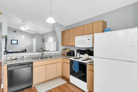 30610 Double Drive Wesley Chapel FL 33545