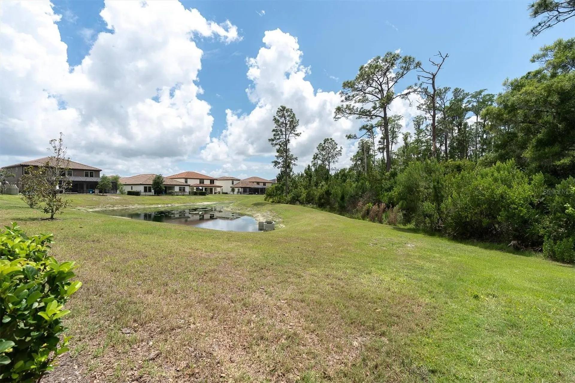 4023 Burdick Loop Odessa FL 33556