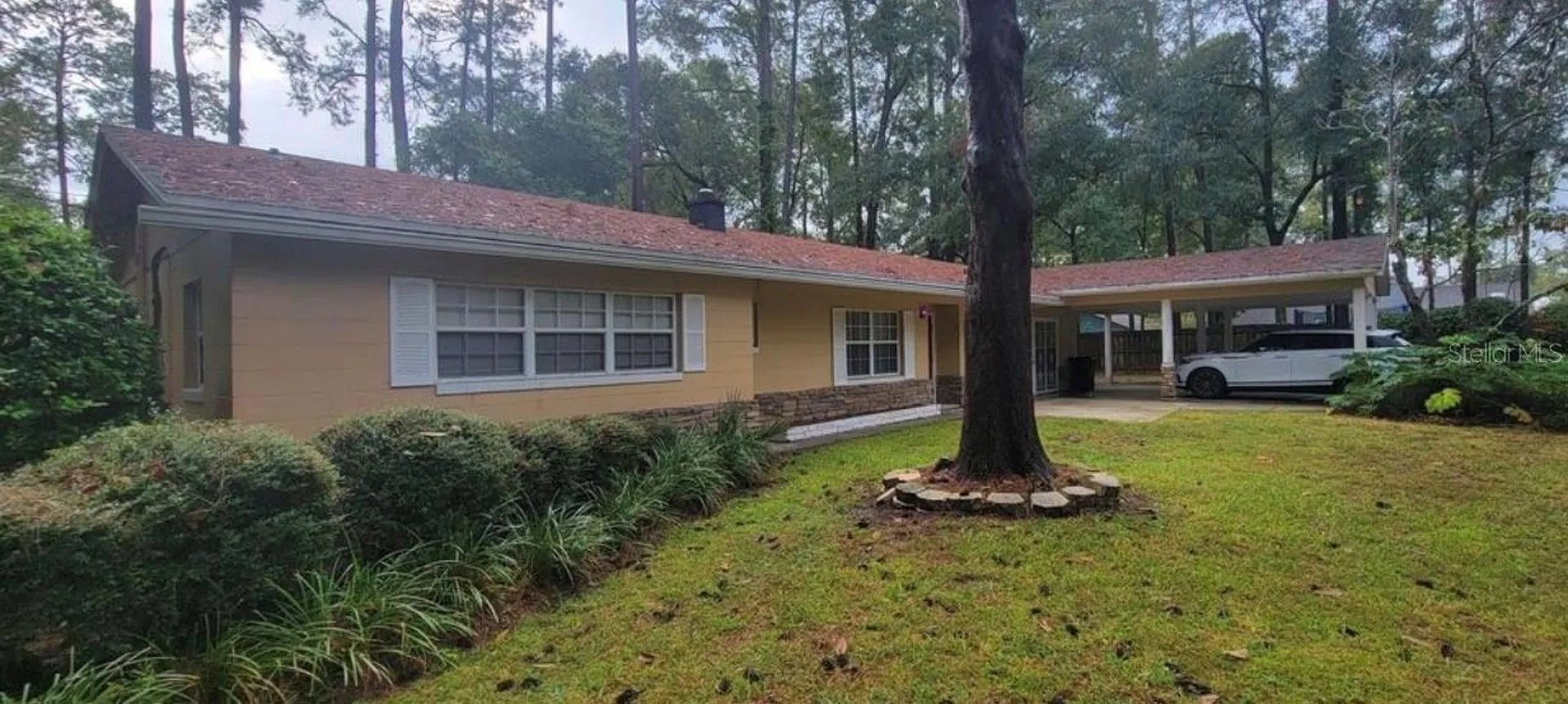 3805 NW 50th Street Gainesville FL 32606