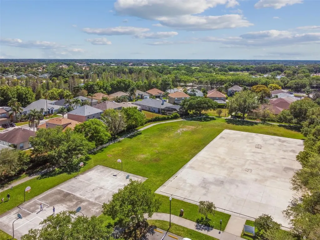 2006 Meadow Rue Court Trinity FL 34655