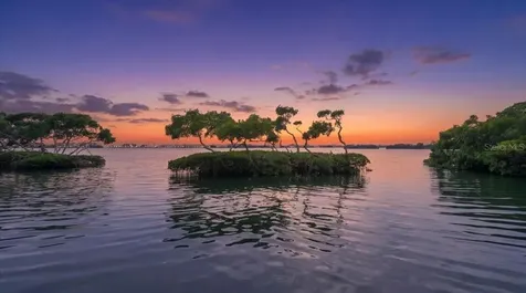 3620 Fair Oaks Place Longboat Key FL 34228