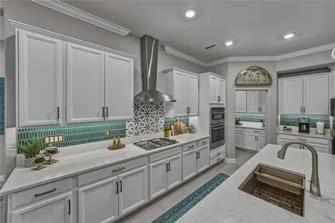 5305 Windy Grove Drive Wimauma FL 33598