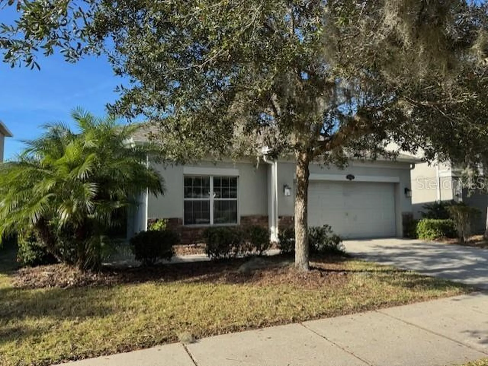 10662 Pictorial Park Drive Tampa FL 33647