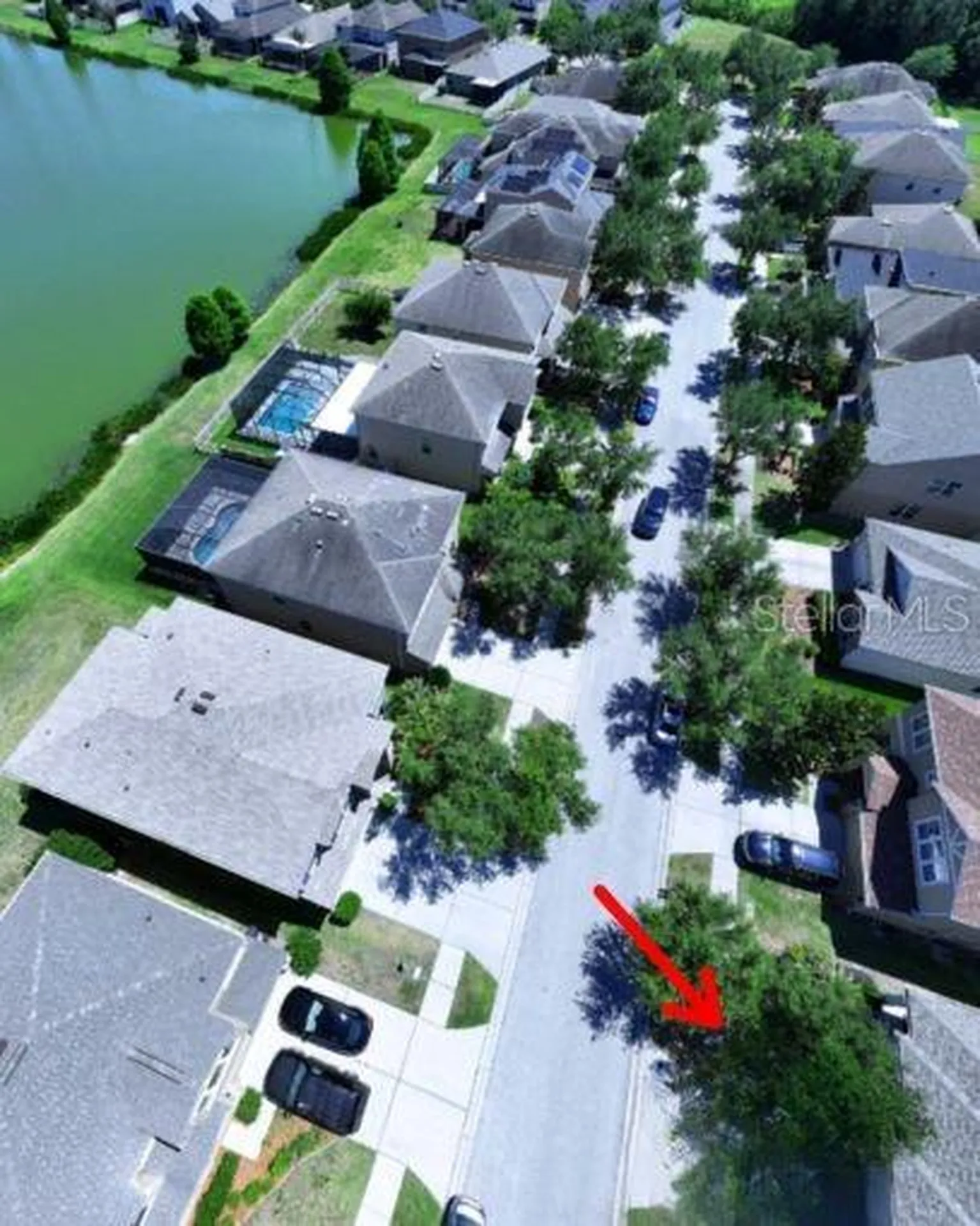 10662 Pictorial Park Drive Tampa FL 33647