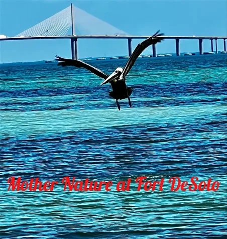 120 9th Street E Tierra Verde FL 33715