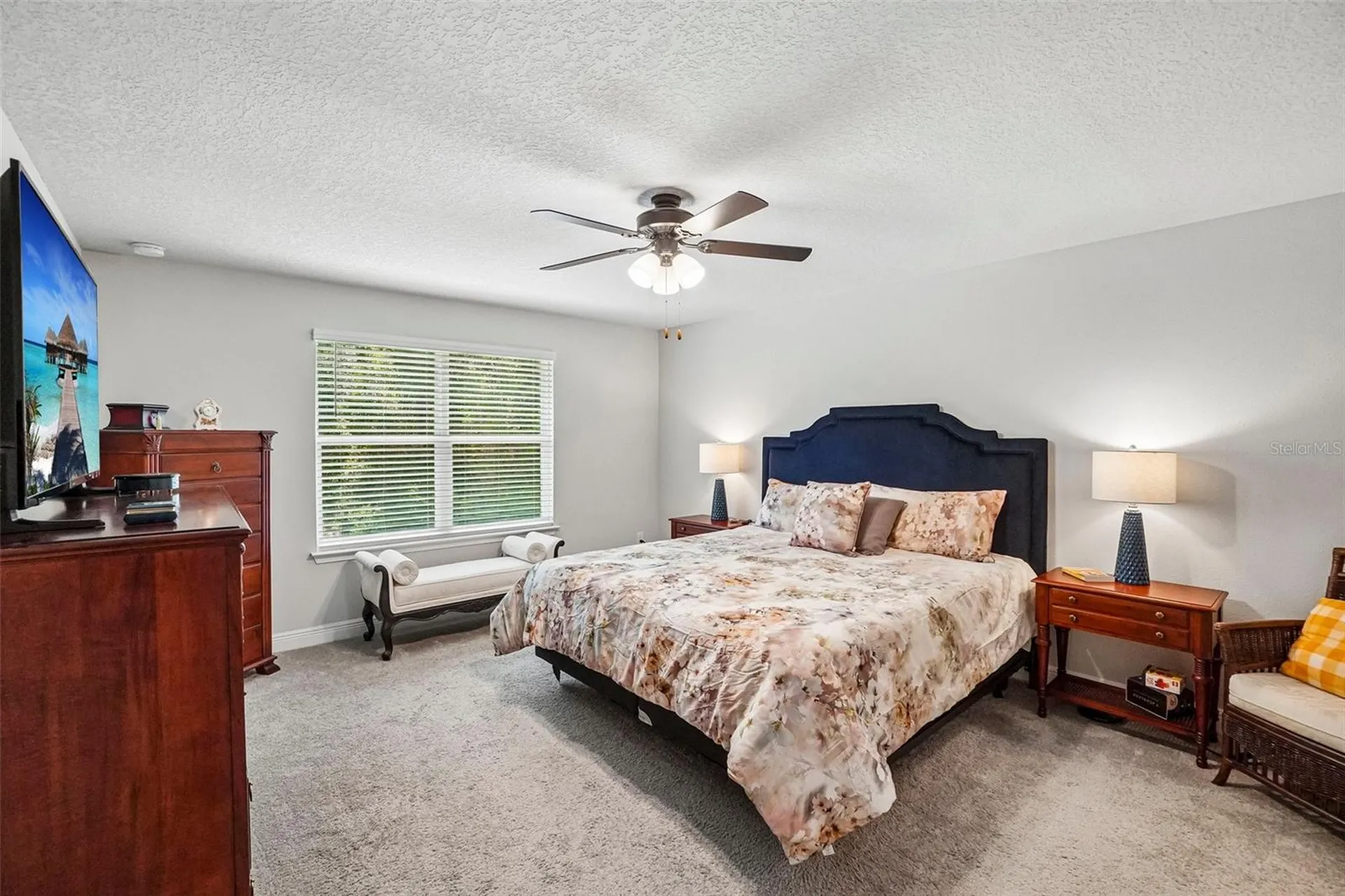 1005 Night Song Street Valrico FL 33594