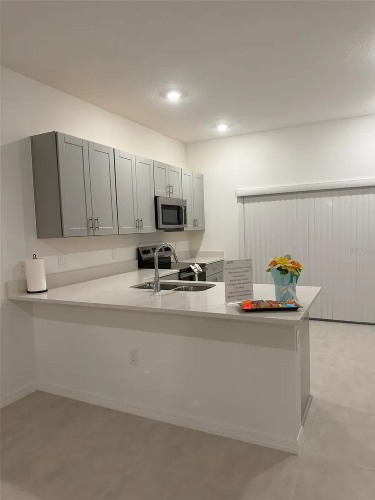 3021 Skyline Loop Kissimmee FL 34758