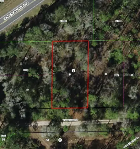 7277 W Rainbow Street Dunnellon FL 34433