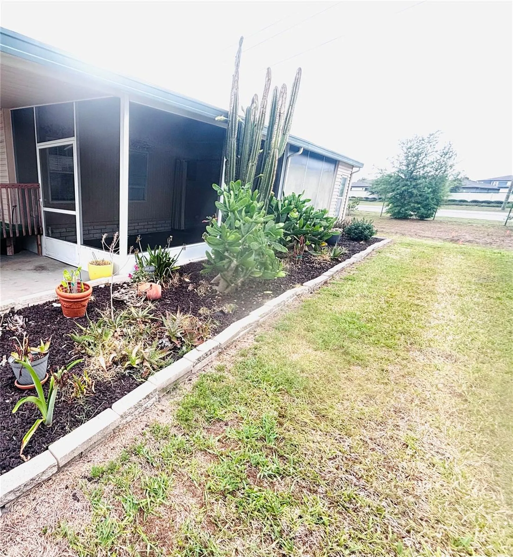 34445 Countryside Drive Wesley Chapel FL 33543