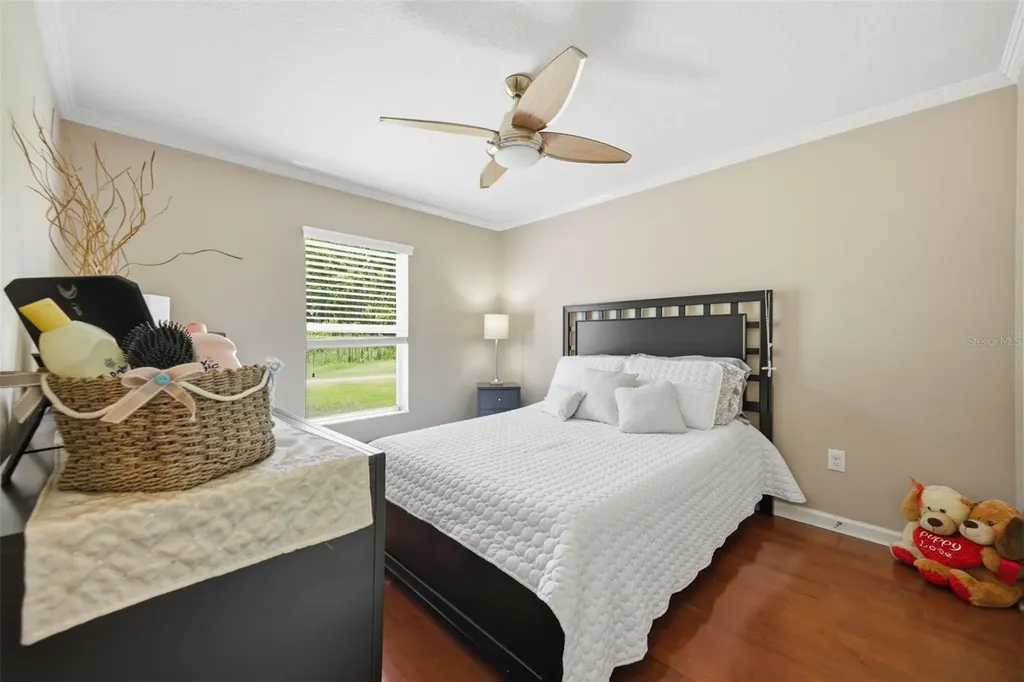 25946 Risen Star Drive Wesley Chapel FL 33544