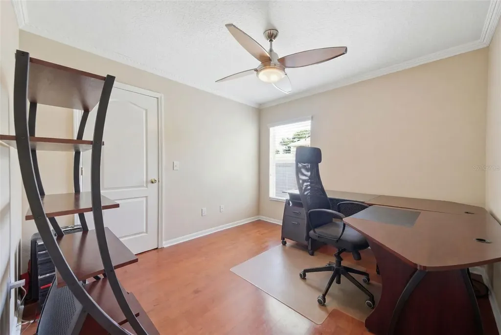 25946 Risen Star Drive Wesley Chapel FL 33544