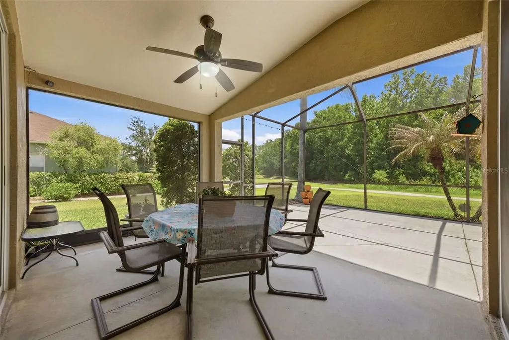 25946 Risen Star Drive Wesley Chapel FL 33544