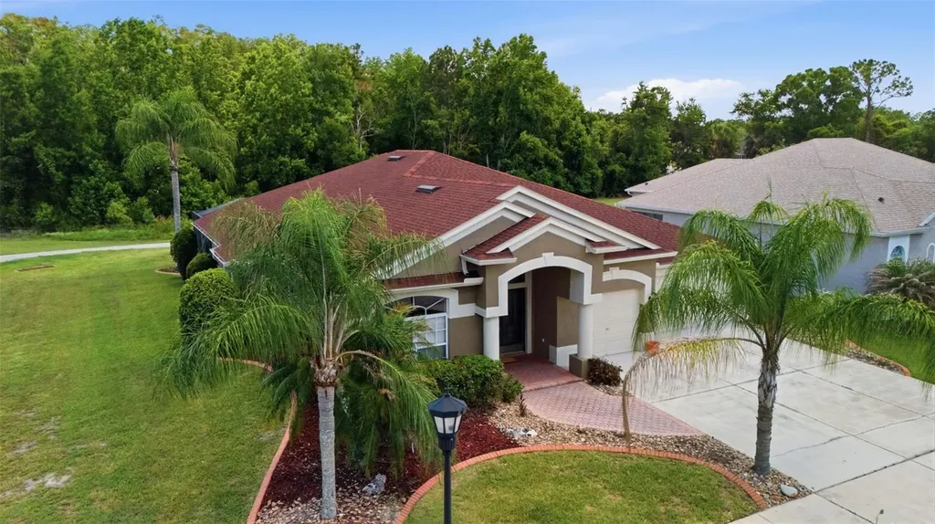 25946 Risen Star Drive Wesley Chapel FL 33544
