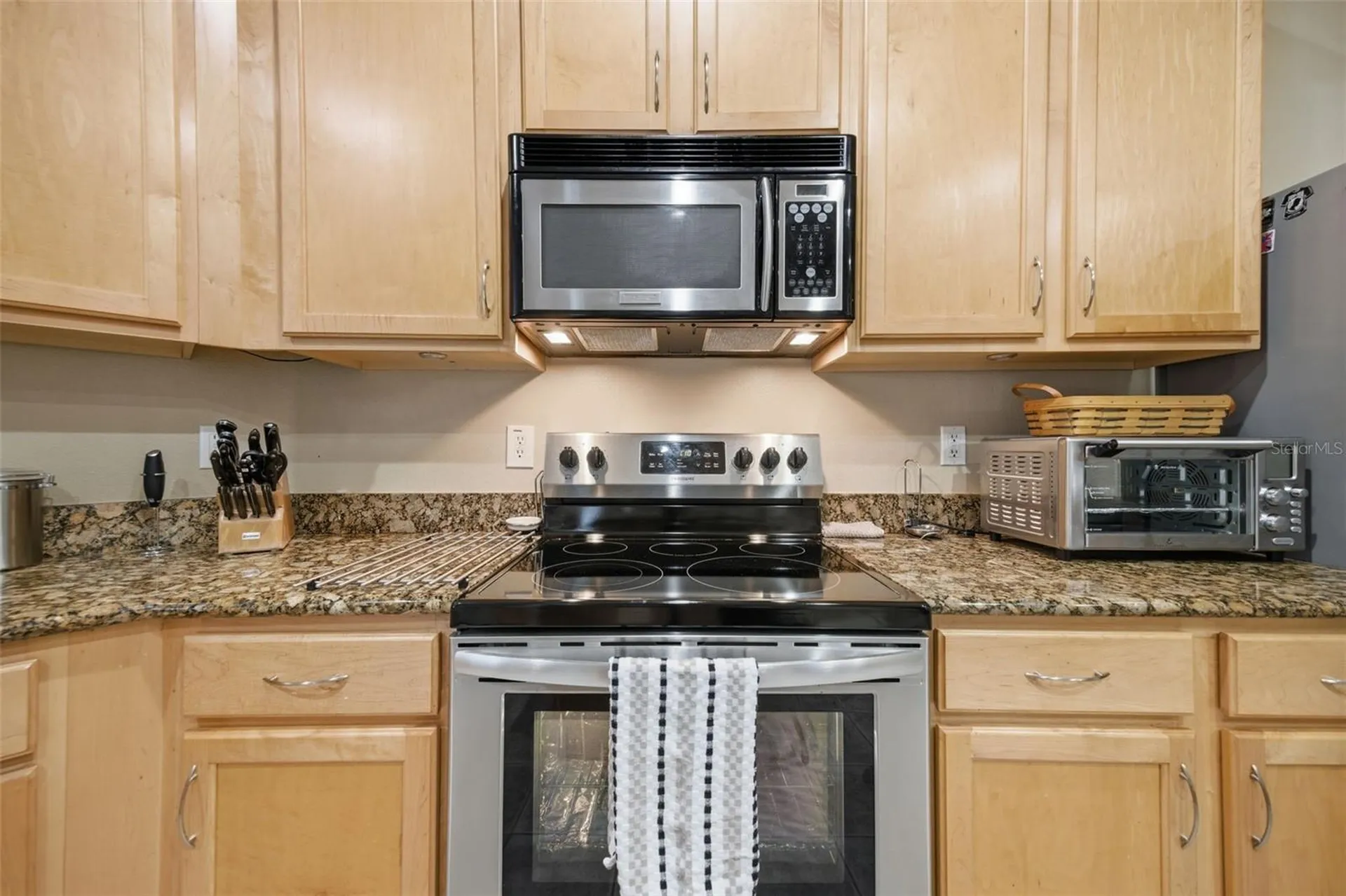 25946 Risen Star Drive Wesley Chapel FL 33544