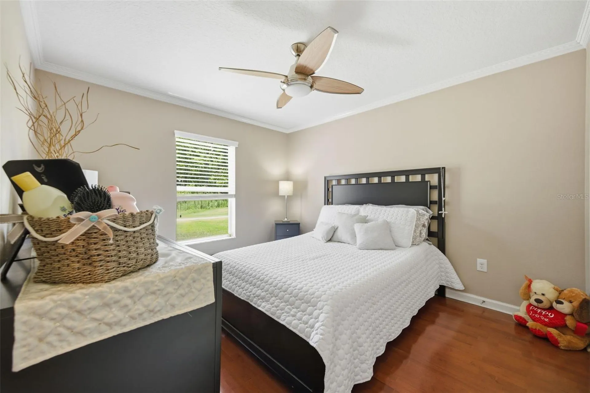 25946 Risen Star Drive Wesley Chapel FL 33544
