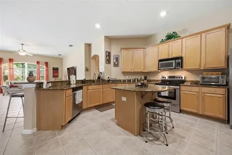 25946 Risen Star Drive Wesley Chapel FL 33544