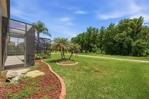 25946 Risen Star Drive Wesley Chapel FL 33544