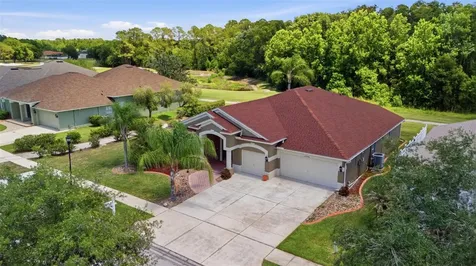 25946 Risen Star Drive Wesley Chapel FL 33544