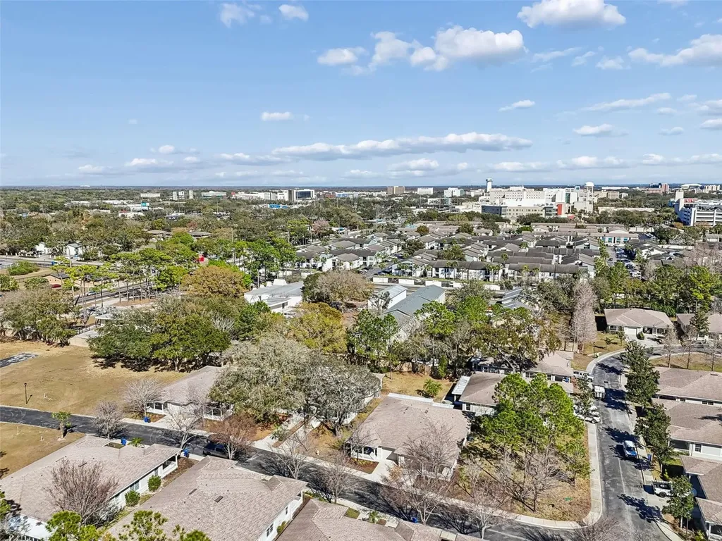 12715 Taylor Nicolas Drive Tampa FL 33612