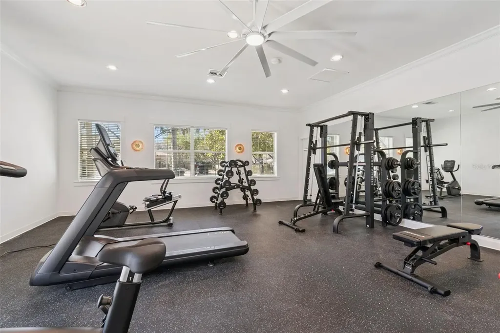 12715 Taylor Nicolas Drive Tampa FL 33612