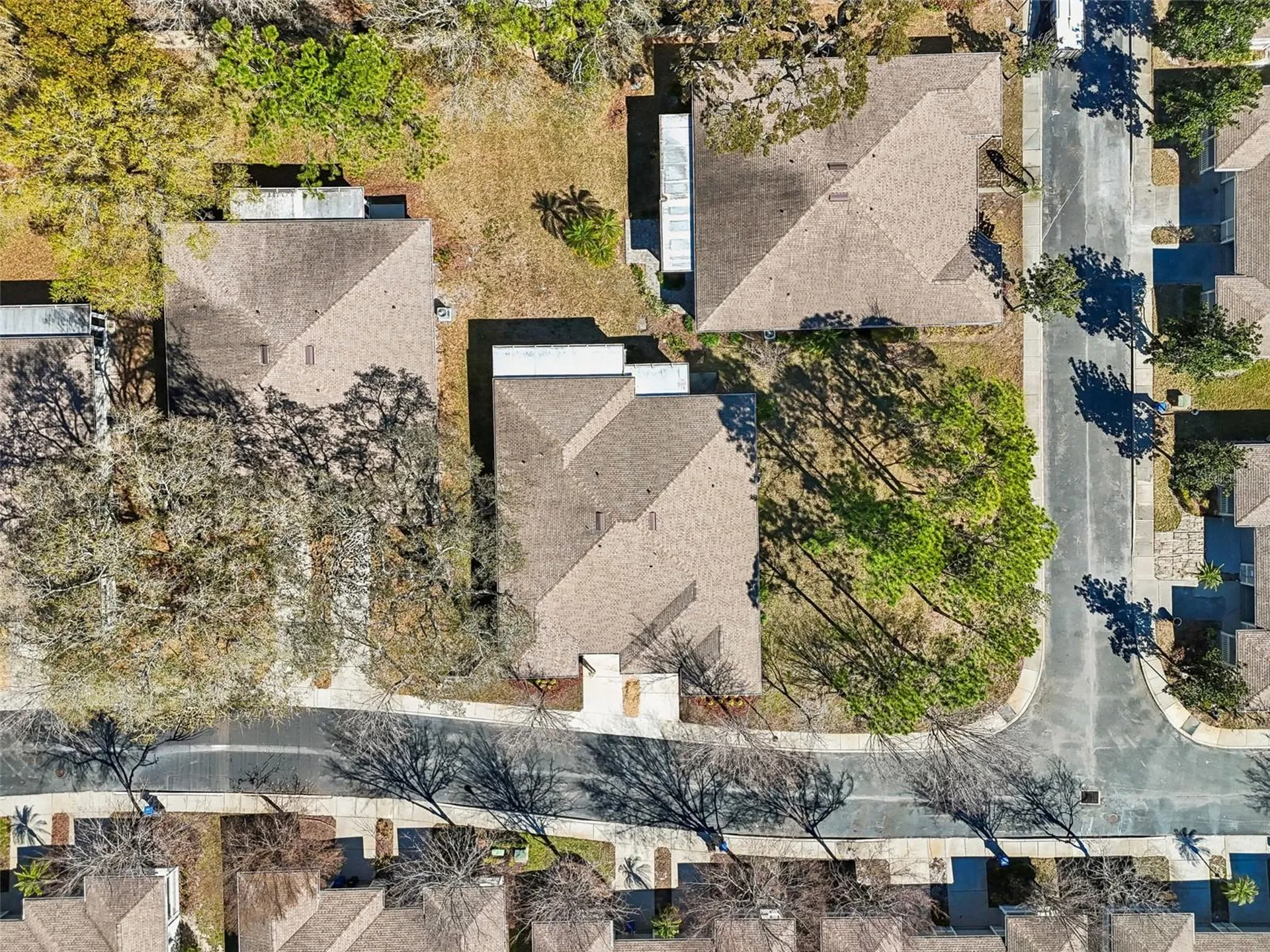 12715 Taylor Nicolas Drive Tampa FL 33612