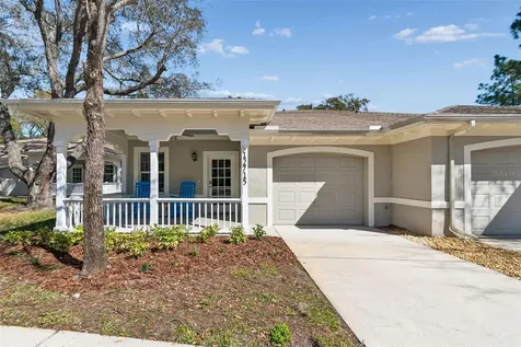 12715 Taylor Nicolas Drive Tampa FL 33612
