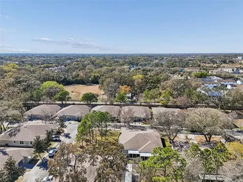 12715 Taylor Nicolas Drive Tampa FL 33612