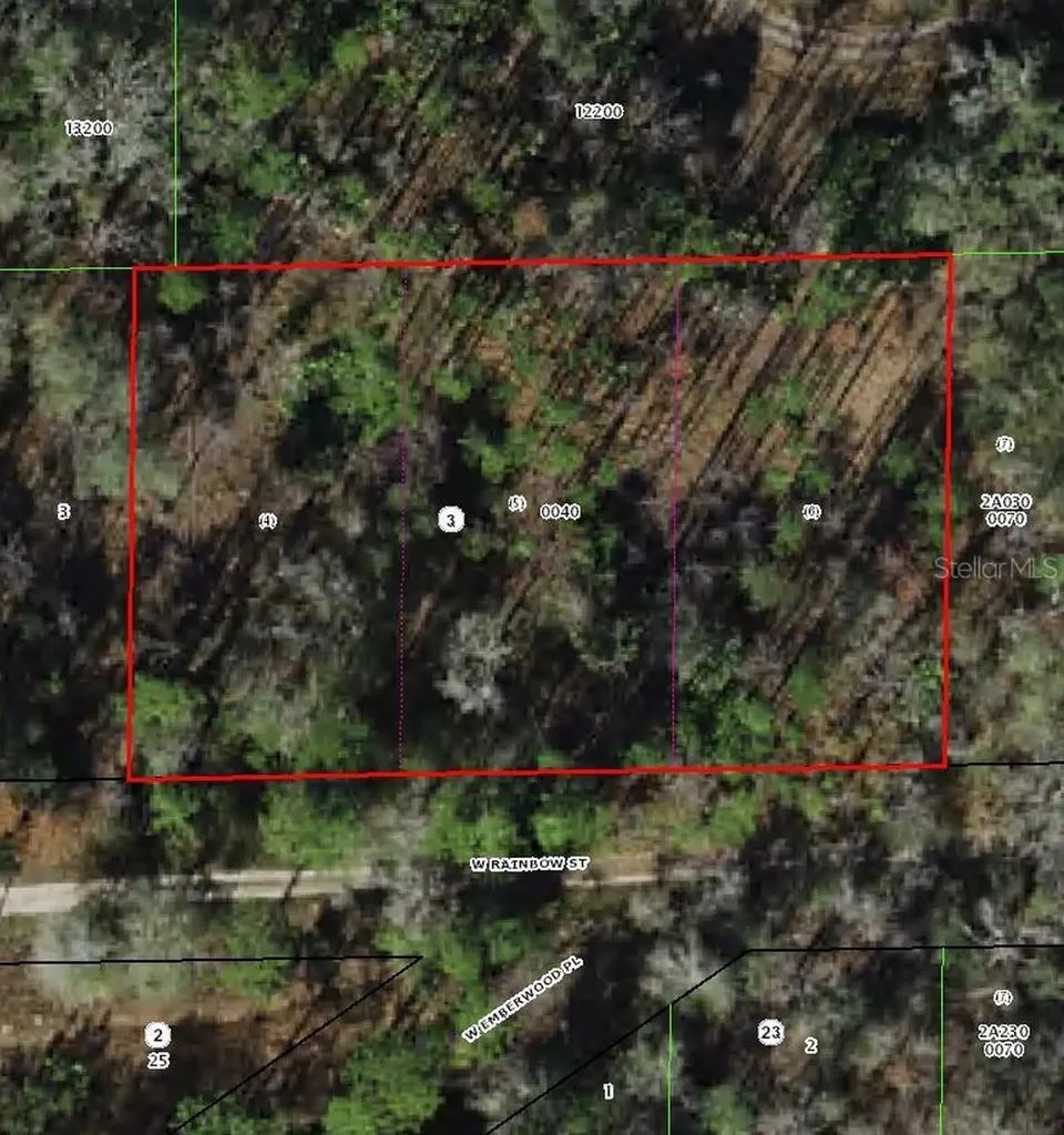 7265 W Rainbow Street Dunnellon FL 34433
