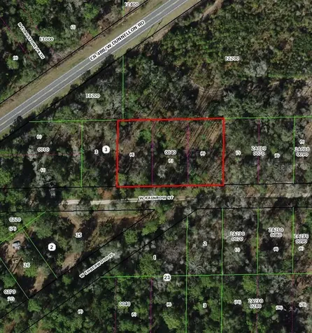 7265 W Rainbow Street Dunnellon FL 34433