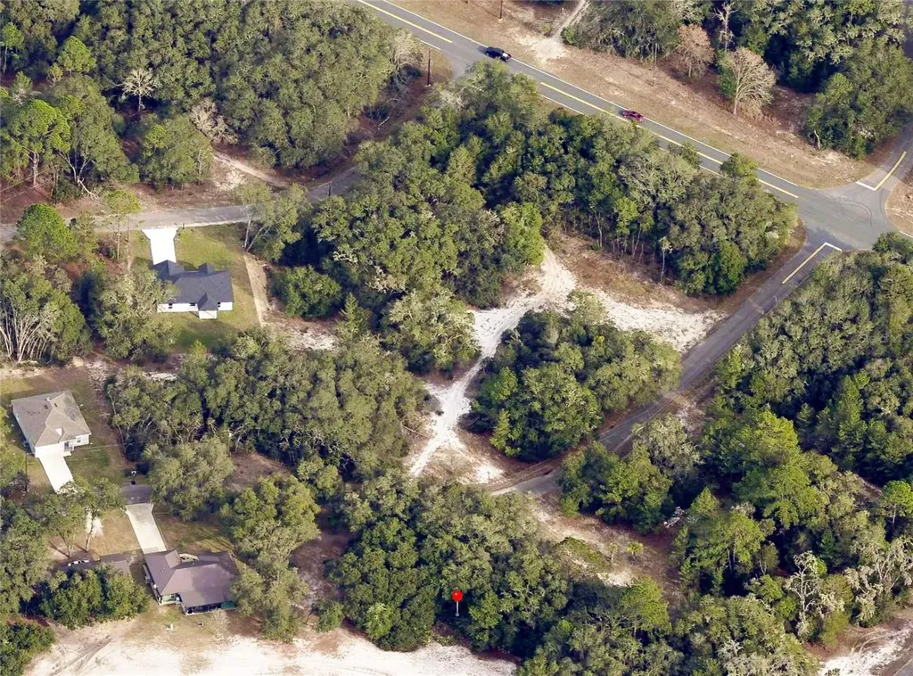 175 Fisher Ln Court Ocklawaha FL 32179